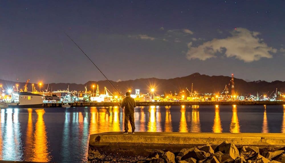 【初心者向け】メバリング入門|メバルの釣り方・道具・ポイント選びガイド